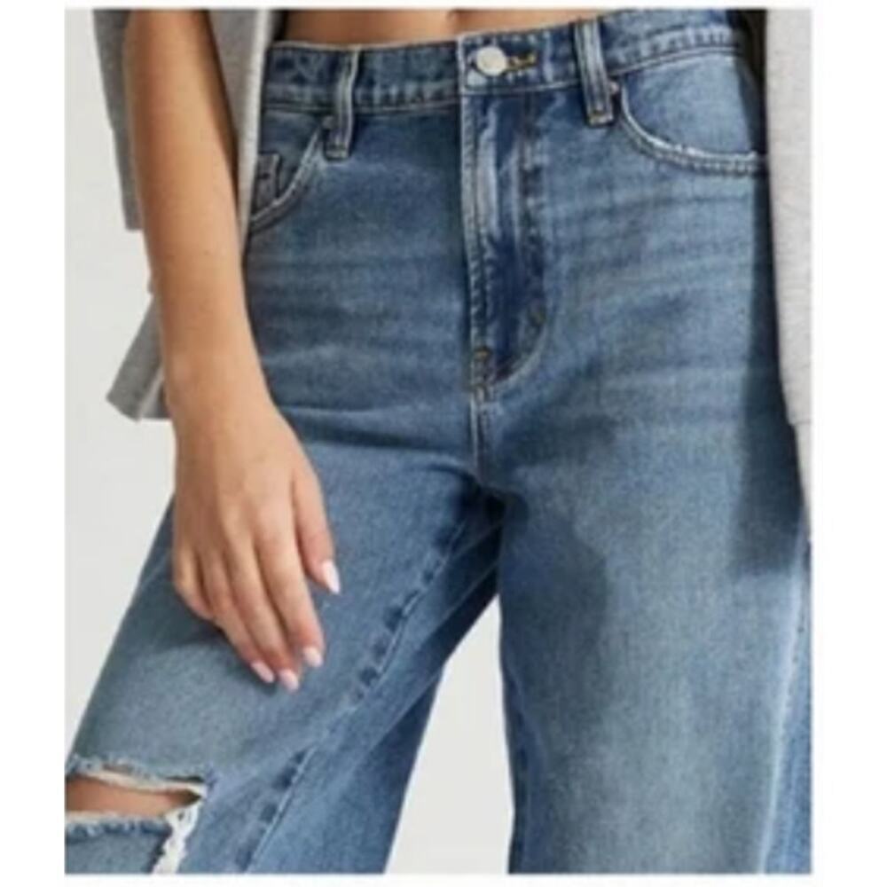 Pacsun Baggy Jean Wide Leg Distressed Denim Size 30 90's Retro High Rise Grunge - Picture 2 of 14